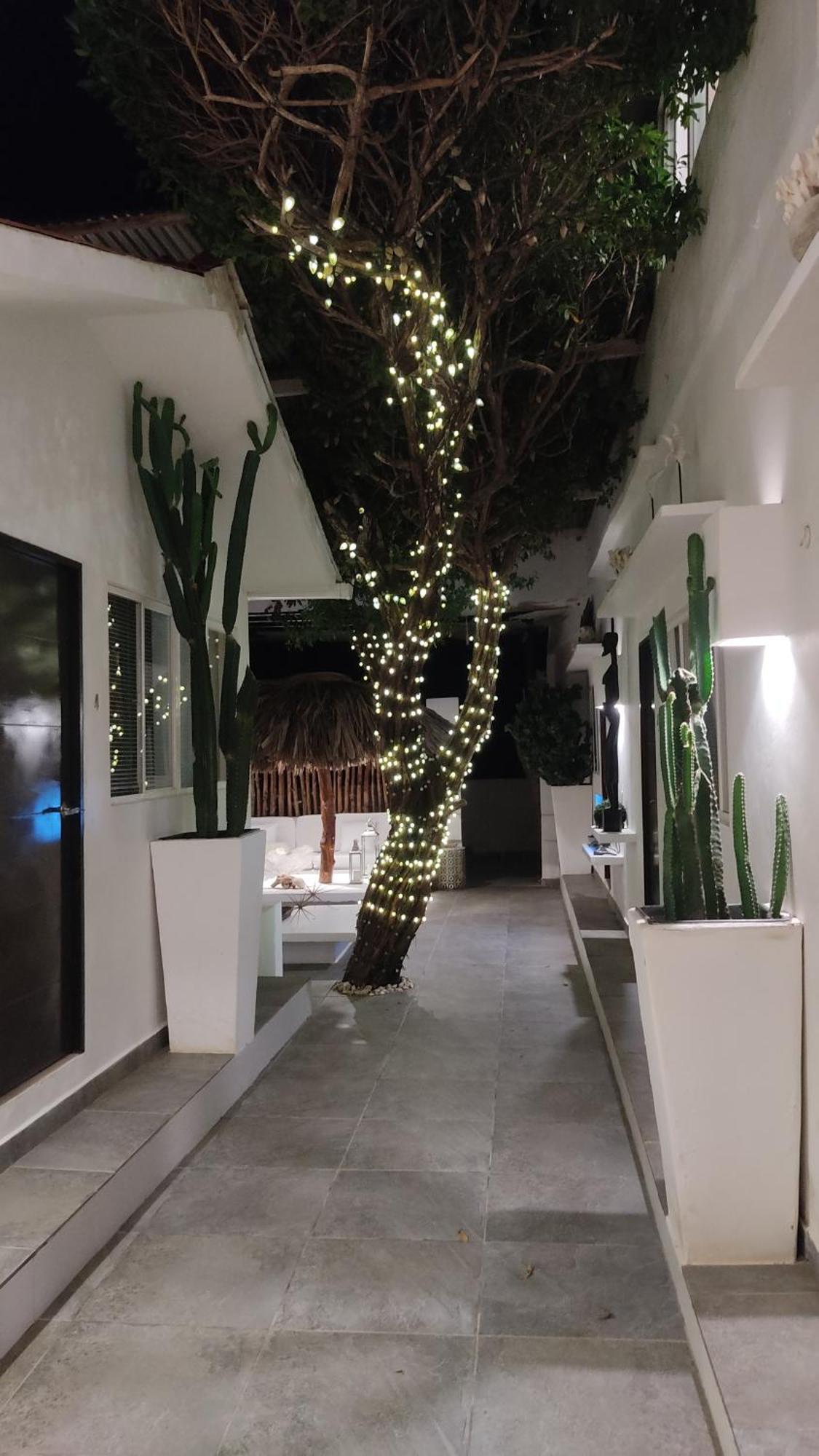 Rincon Del Mar Veleros Hotel San Onofre 外观 照片