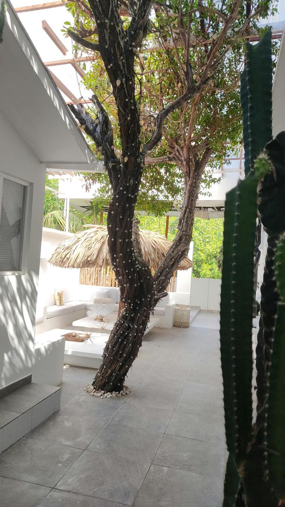 Rincon Del Mar Veleros Hotel San Onofre 外观 照片
