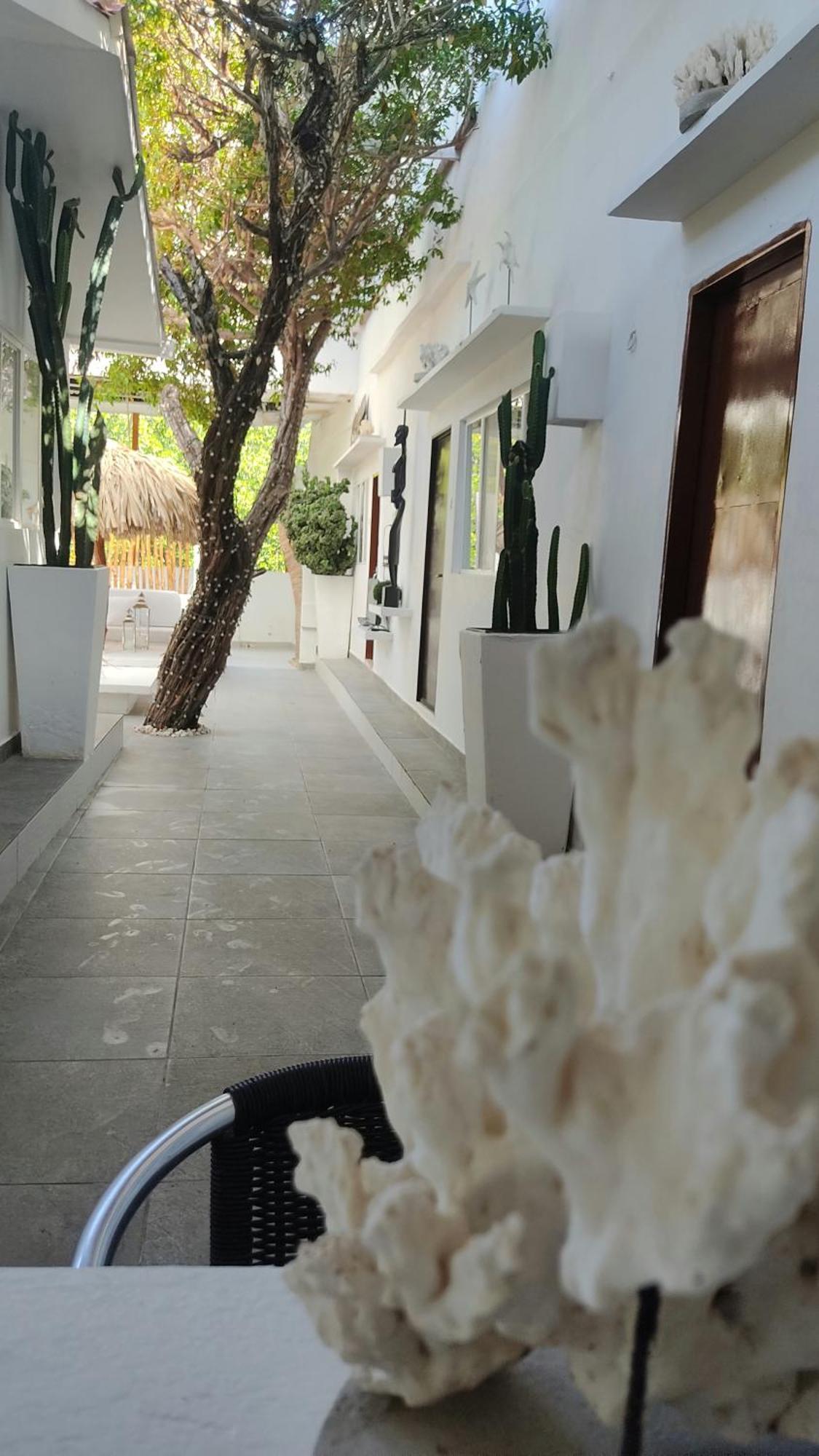 Rincon Del Mar Veleros Hotel San Onofre 外观 照片