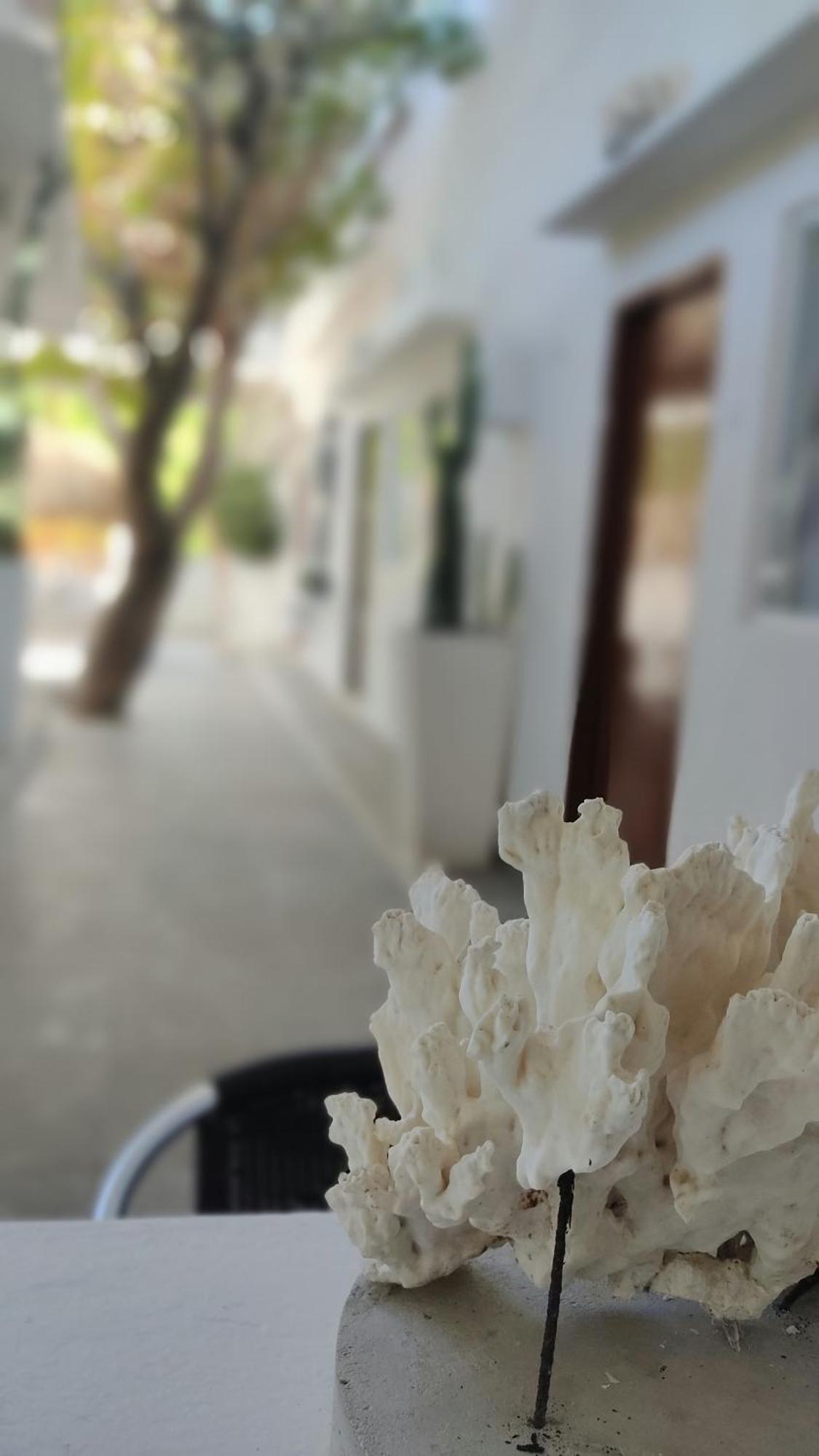 Rincon Del Mar Veleros Hotel San Onofre 外观 照片